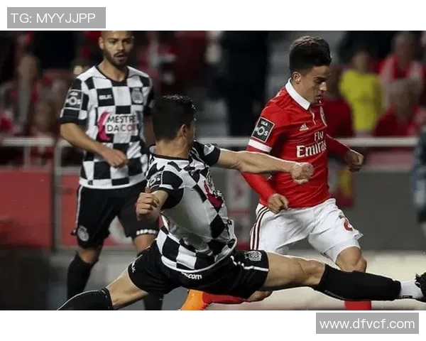 阿维斯主场迎战本菲卡双方争夺积分巅峰对决即将上演